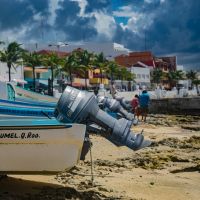   Colores Cozumel Shades