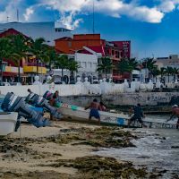   Colores Cozumel Shades