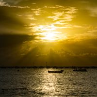   Colores Cozumel Shades