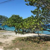   Cozumel Not Just A Cruiseship Destination
