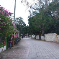   Cozumel Not Just A Cruiseship Destination