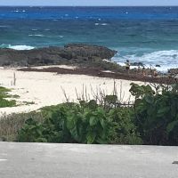   Cozumel Not Just A Cruiseship Destination