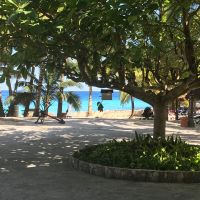   Cozumel Not Just A Cruiseship Destination