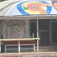   Cozumel Not Just A Cruiseship Destination