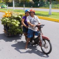   Cozumel