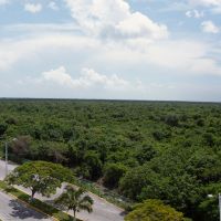   Cozumel