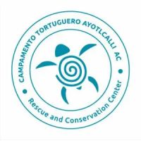 Campamento Tortuguero Ayotlcalli