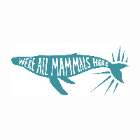 Whales of Guerrero