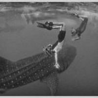 Blue H2O Cozumel Watersports