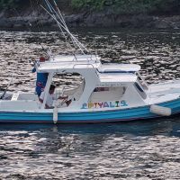 Piyali Sport Fishing