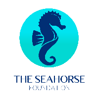 Seahorse School
