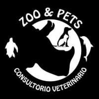 Consultorio Veterinario Zoo & Pets
