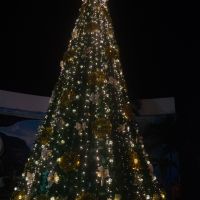   Navidad Zihuatanejo 2019
