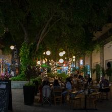   Playa Del Carmen