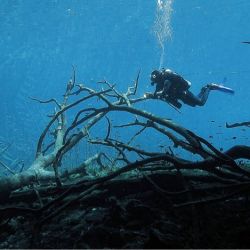 queloniandivers-divers-caves.jpg