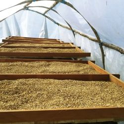 cafe-oro-magico-producto-2.jpg
