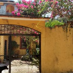 exterior-2.jpg