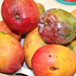   Mercado Campesino 2025