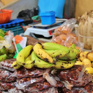   Mercado Campesino 2025