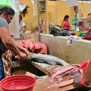   Mercado Campesino 2025