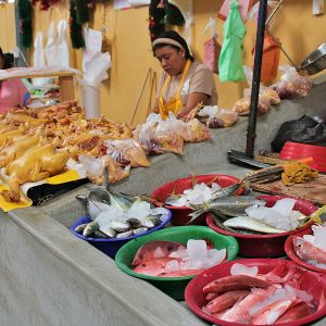   Mercado Campesino 2025