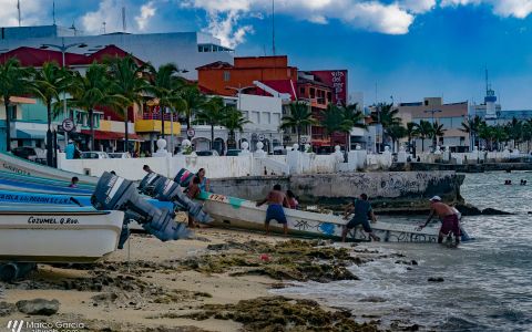 Cozumel Shades