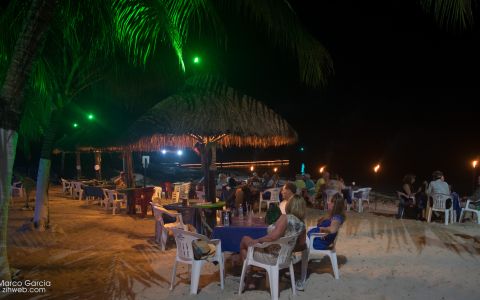 Cozumel Beach Party Nights