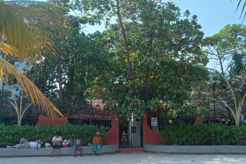 casa-la-playa-zihuatanejo.jpg