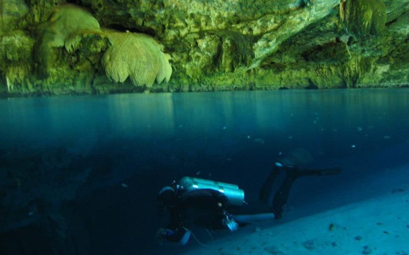 Queloniandivers Cenotes Tulum 