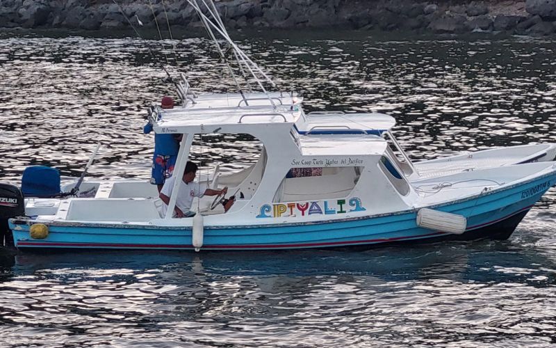 Piyali Tours Ixtapa Zihuatanejo.jpeg