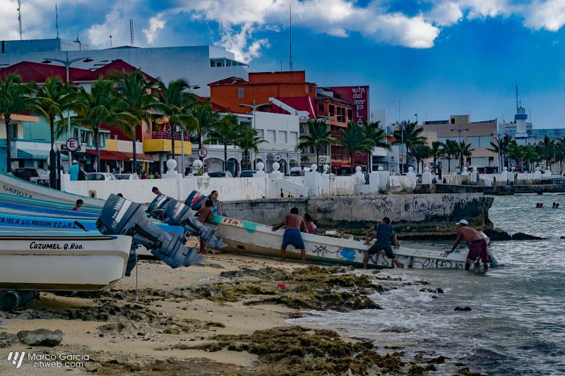 Cozumel Shades