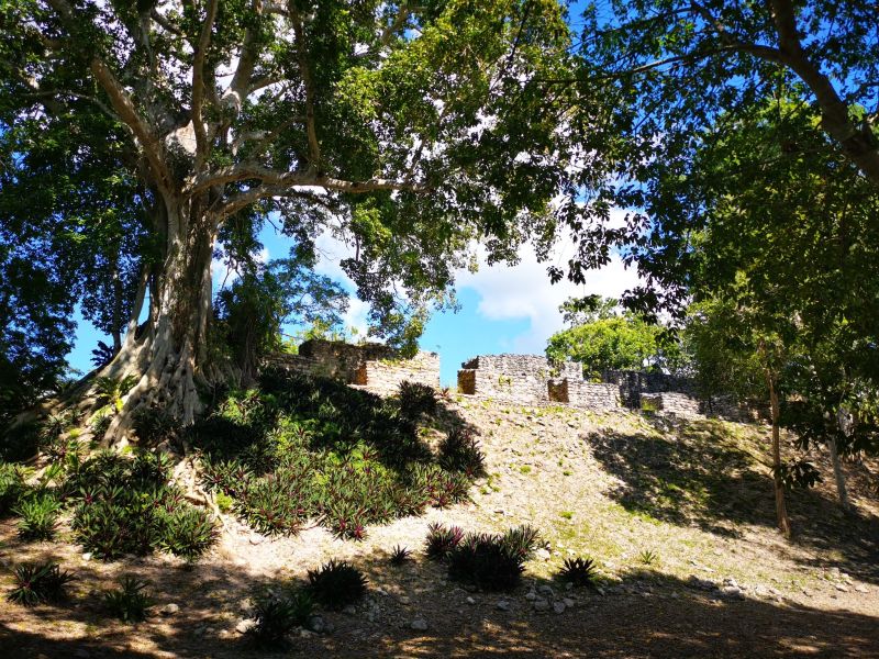 Dzibanché, Quintana Roo, un Recorrido de @VivoEnCancún