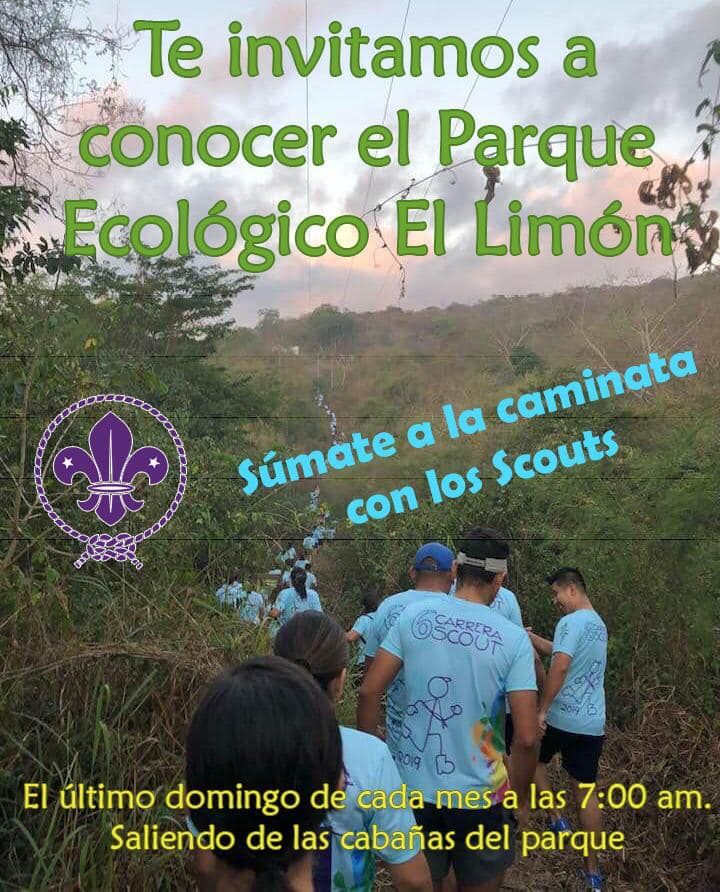 Caminata Scout en Parque El Limón